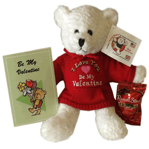 Funky Bears - plush teddy bears wearing personalized hoodies